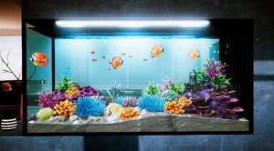 模拟水族造景游戏官方版图片3