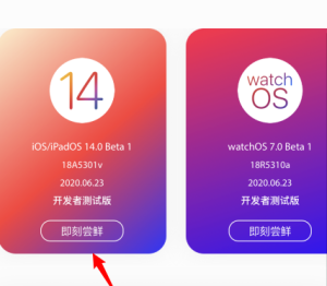 苹果手机怎么更新到ios14？新手升级14详细操作流程分享图片1