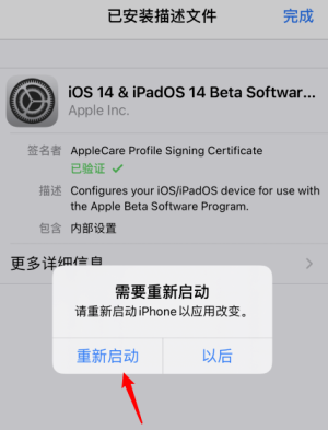 苹果手机怎么更新到ios14？新手升级14详细操作流程分享图片7