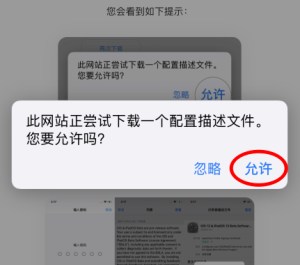 苹果手机怎么更新到ios14？新手升级14详细操作流程分享图片3