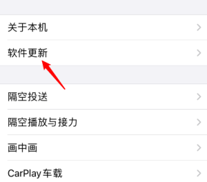 苹果手机怎么更新到ios14？新手升级14详细操作流程分享图片8