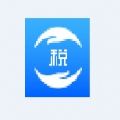 上海自然人网上办税服务厅app
