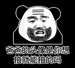 熊猫头微信拍一拍表情包带字图片大全高清无水印完整版图片2
