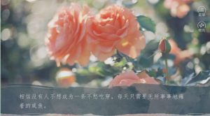 橙光年下攻略鲜花金手指版图片3