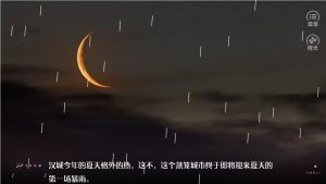 橙光一键倾心鲜花金手指版图片2