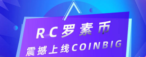 罗素币RC软件官方版图片2