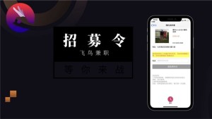 飞鸟兼职app免费版图片1