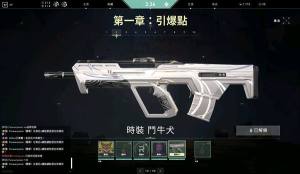 瓦罗兰特通行证值得购买吗？valorant BattlePass购买建议分享图片2