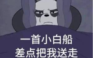 抖音秦昊小白船警告表情包大全无水印完整版图片3