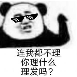 抖音连我消息都不回你回什么表情包大全完整手机版图片2