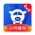 小明猪车软件