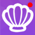 紫贝网app