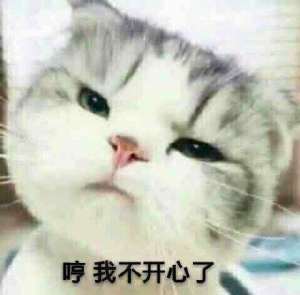 微信不开心表情包gif撇嘴可爱搞笑图片大全高清无水印分享图片1