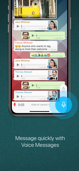 2020最新whatsapp双开ios安装包图片2