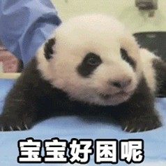 好困啊表情包搞笑图片大全无水印完整手机版图片2