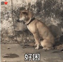 好困啊表情包搞笑图片大全无水印完整手机版图片1