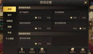 DNF手游怎么设置最好？消耗品/图像/聊天/声音设置顺手教程分享图片1