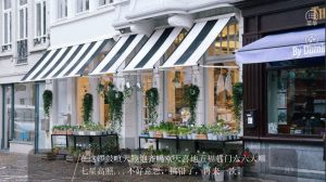 橙光狐火夜明鲜花金手指版图片3
