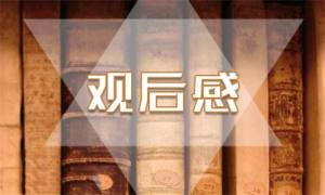 2020火热的信仰观后感范文完整版免费分享图片1