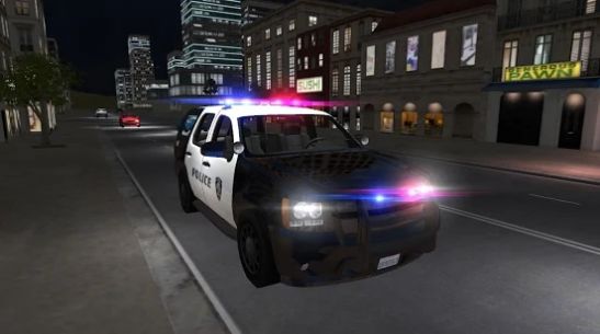 美国警察驾驶模拟器金币钻石官方版图片2