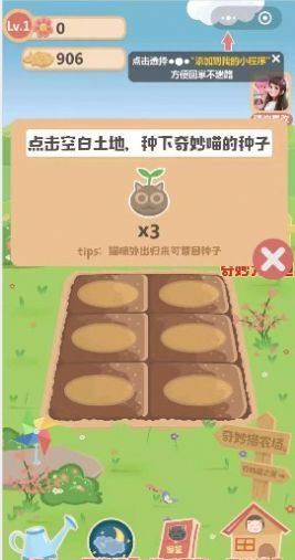 奇妙猫之家游戏官方红包版图片2