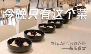 我就是那个吃了假辣椒酱的憨憨企鹅表情包带字高清gif无水印免费分享图片1