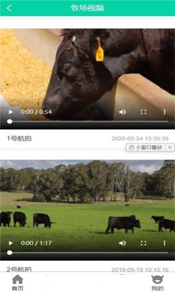 凯馨牧业云养牛app官方版图片1