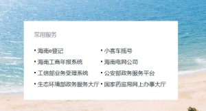 海南政务生活服务平台app手机登录图片2