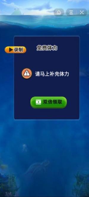 鲨鱼王子安卓游戏手机版图片2