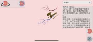眼部解剖图集app安卓最新版图片1