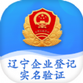 辽宁企业登记实名验证app官网版