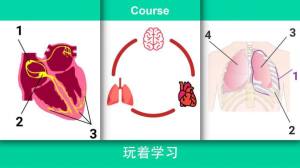 现实医疗模拟器游戏官方安卓版图片1