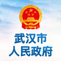 武汉市人民政府app