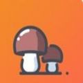 小蘑菇打字app