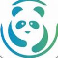 熊猫网红助手软件