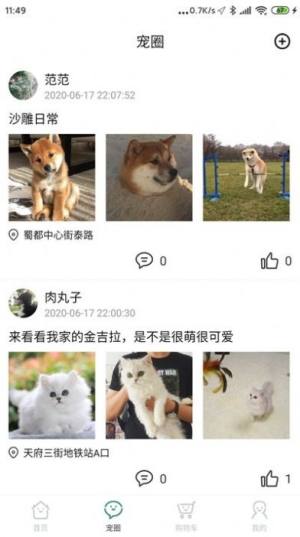 叮当宠屋app免费版软件图片1