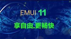 华为EMUI11内测申请版安装包图片3