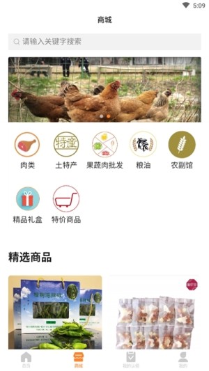 春牧牧业云养殖app靠谱版图片2