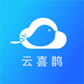 云喜鹊app官方最新版 v1.0.0