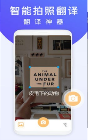 拍照翻译器在线翻译英语软件app手机版图片3
