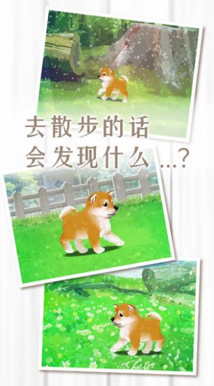 扑家养育柴犬的治愈游戏中文汉化版图片3