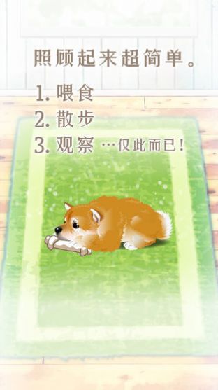 扑家养育柴犬的治愈游戏中文汉化版图片2