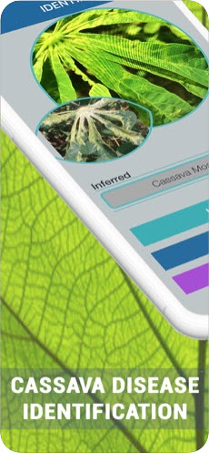 木薯植物病害鉴定app官方版图片3