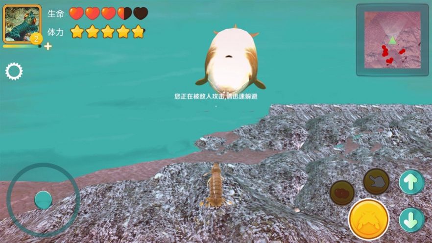 模拟皮皮虾传奇游戏官方最新版图片1