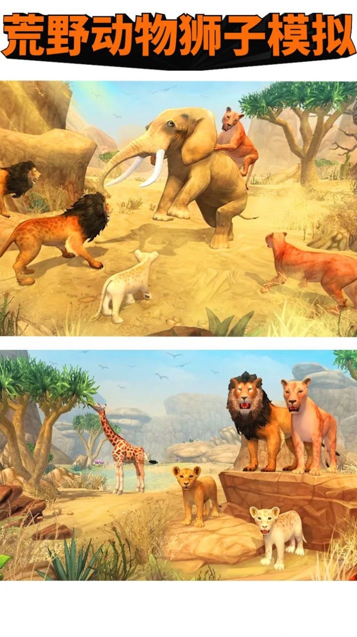 荒野动物狮子模拟游戏最新手机版图片1