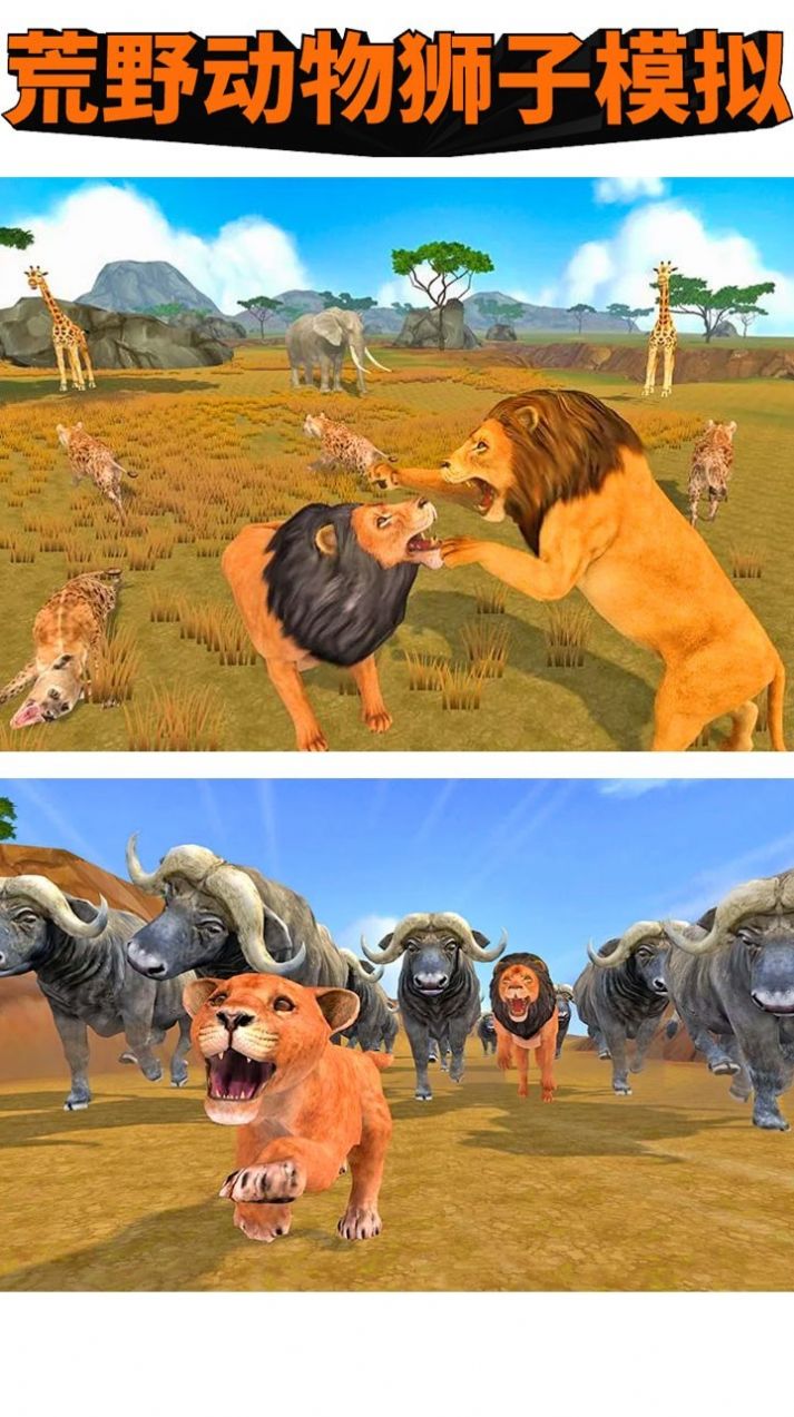 荒野动物狮子模拟游戏最新手机版图片3