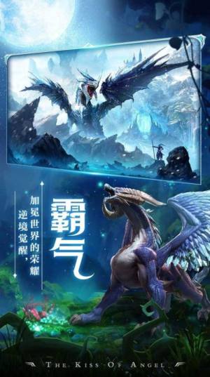寻梦祝愿手游官网版正式版图片3