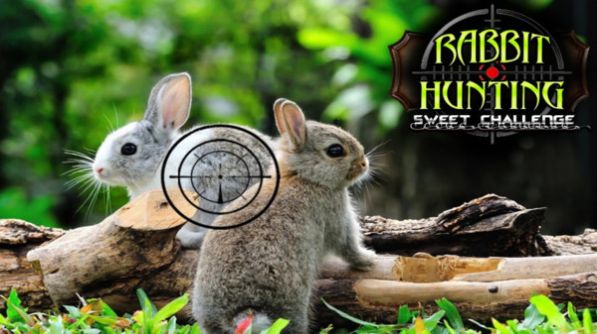 兔子狩猎模拟器金币中文安卓版图片1