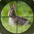兔子狩猎模拟器无限金币中文破解版 v1.2