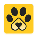 动物身份app软件 v1.0
